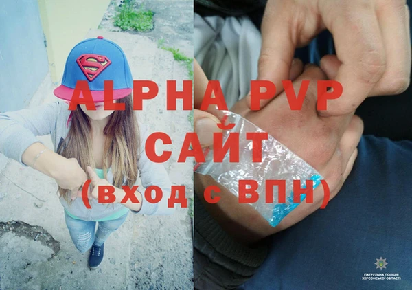 Альфа ПВП Няндома