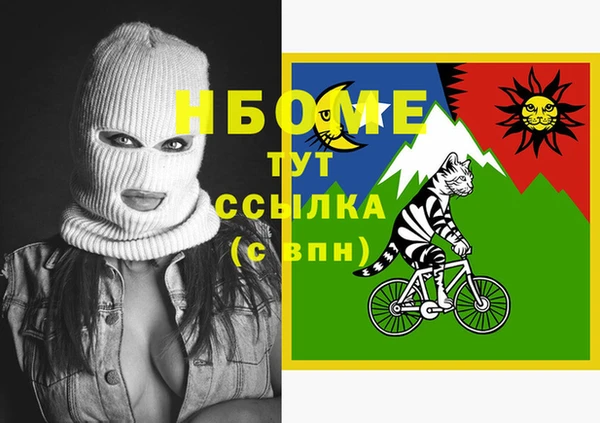 мет Алексин