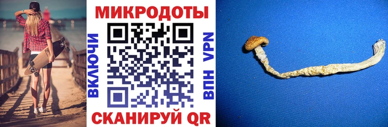 Псилоцибиновые грибы ЛСД Порхов